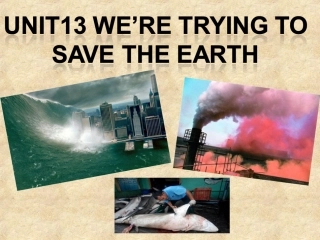 2014年人教版九年级英语Unit13_we’re_trying_to_save_the_earth(1a--2d)