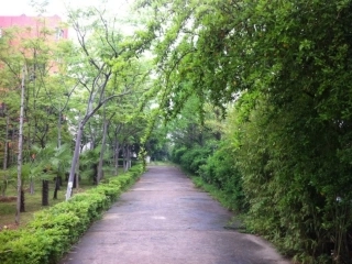 品鉴王孟山水田园诗及精神内核资料