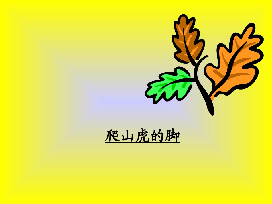 爬山虎的脚课件（人教语文四上）_第1页