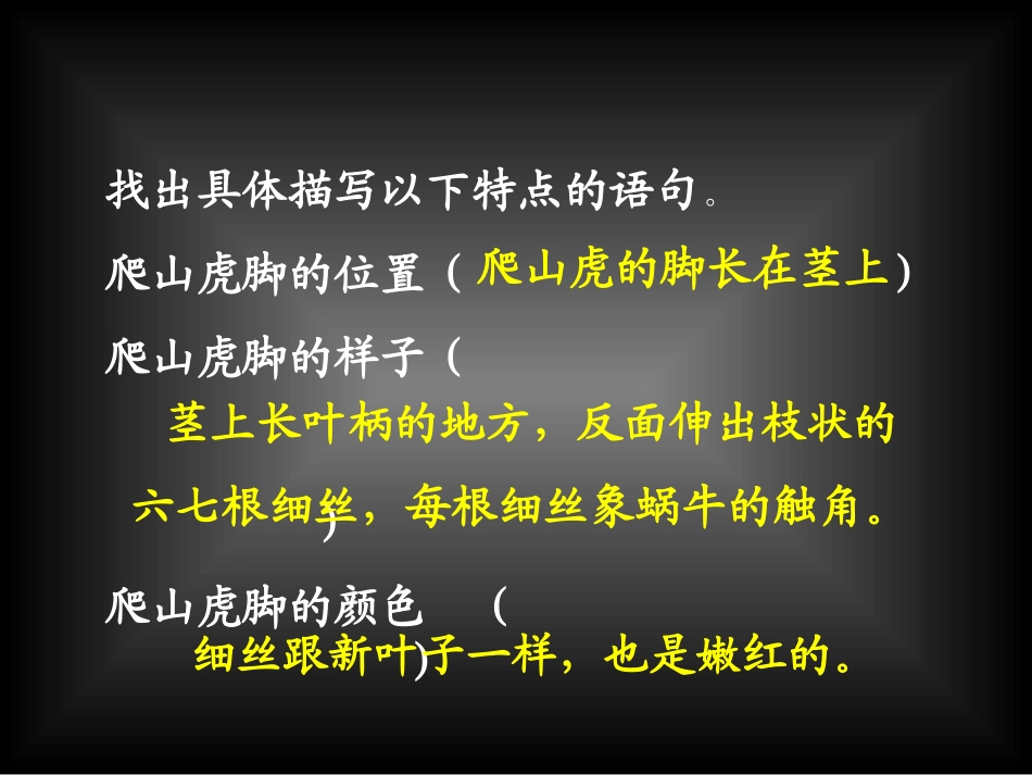 爬山虎的脚课件（人教语文四上）_第3页