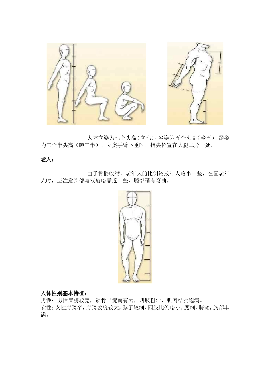 人体结构的把握和透视原理_第2页