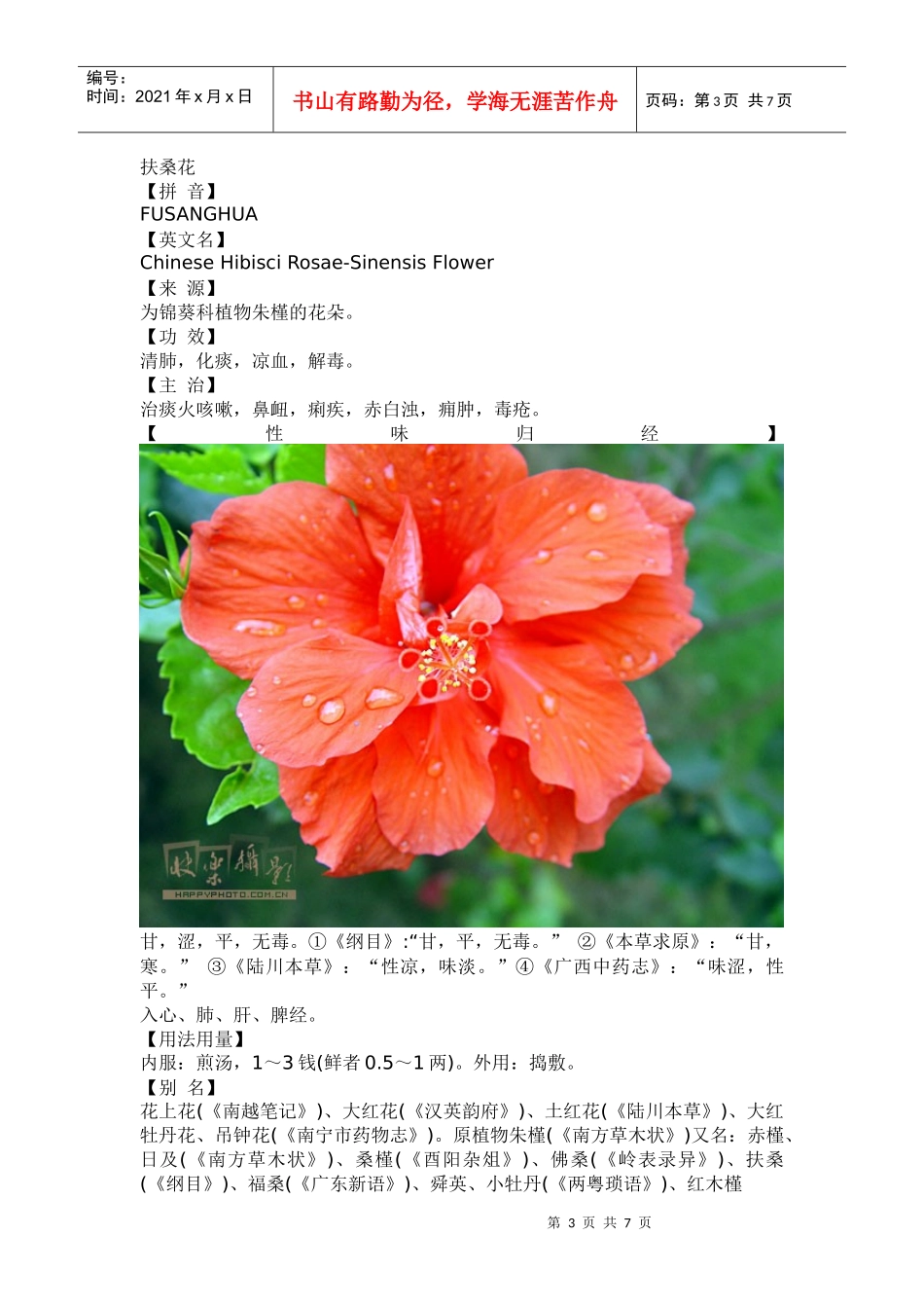 扶桑花的药用与食用(1)_第3页