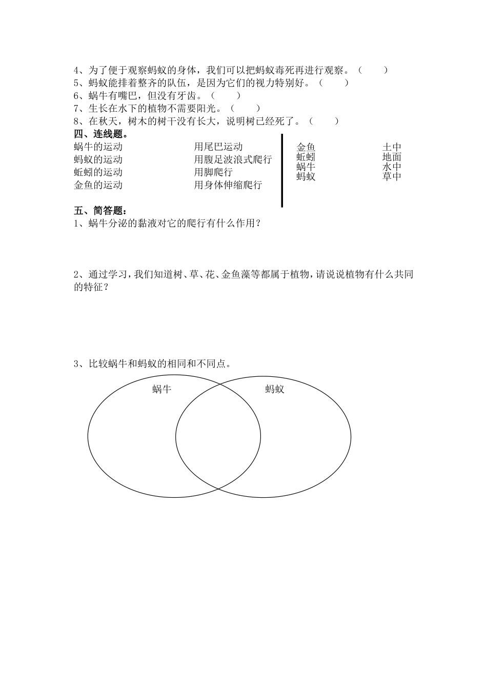 新教科版三年级上册科学期中试卷_第2页
