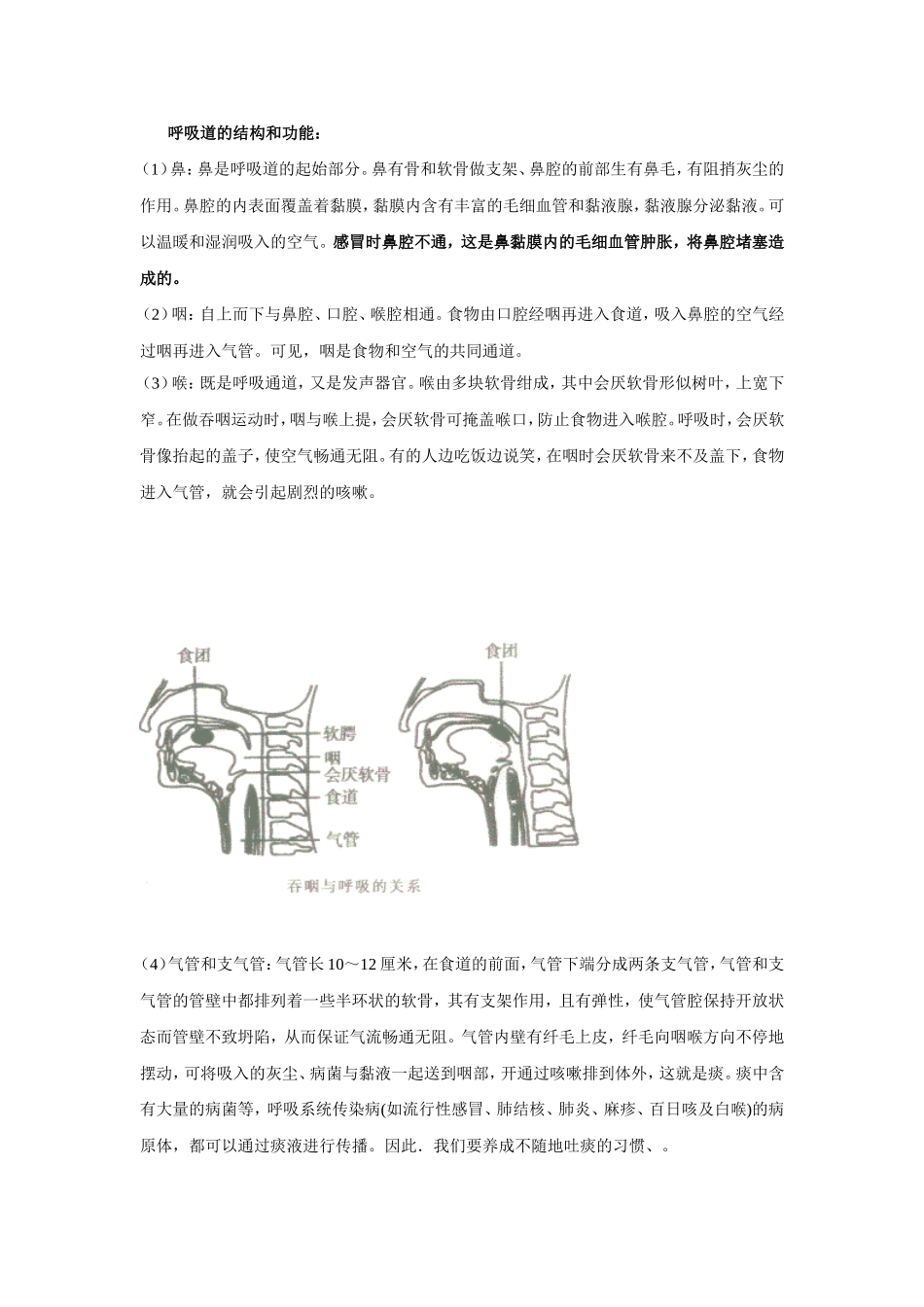 呼吸道对空气的处理_第2页