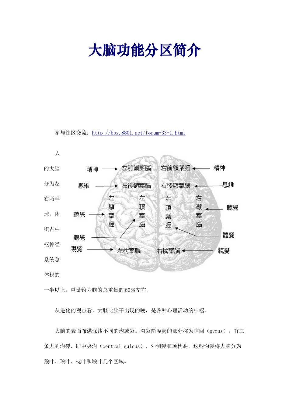 大脑功能分区简介_第1页