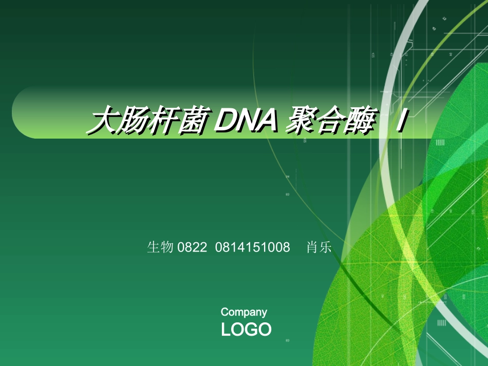 大肠杆菌DNA聚合酶1的作用与应用资料_第1页
