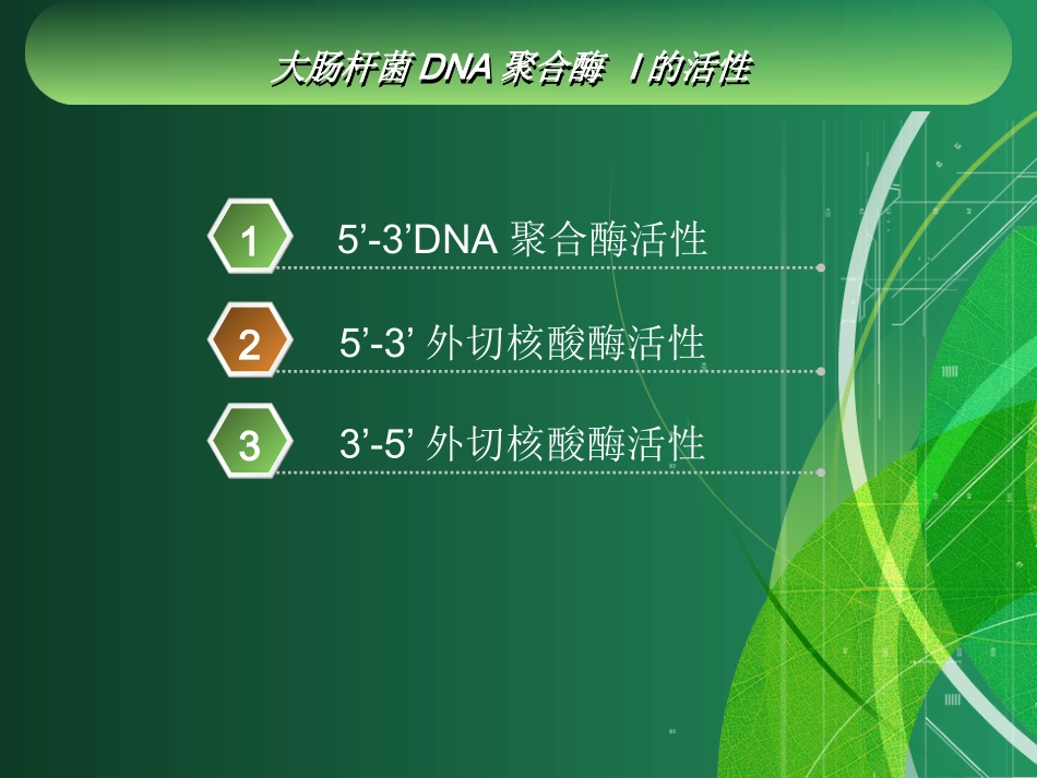 大肠杆菌DNA聚合酶1的作用与应用资料_第2页