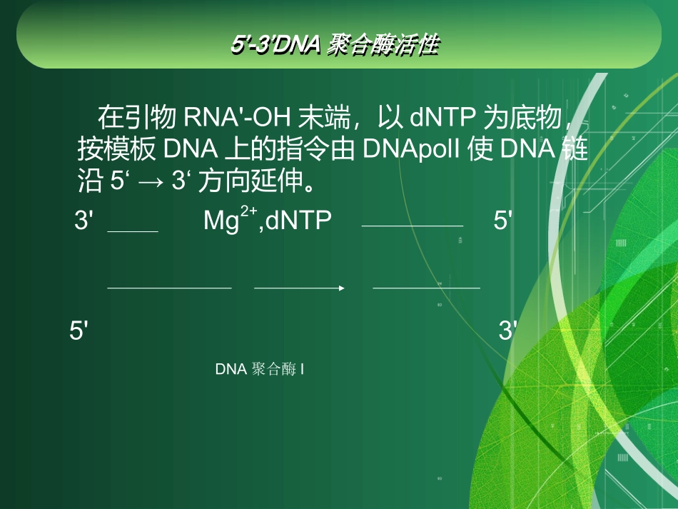 大肠杆菌DNA聚合酶1的作用与应用资料_第3页