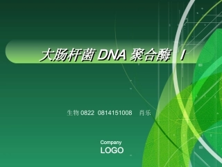 大肠杆菌DNA聚合酶1的作用与应用资料