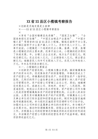 XX省XX县区小榄镇考察报告