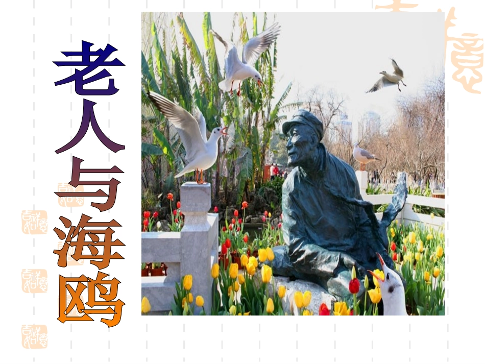 老人与海鸥---课件_第1页