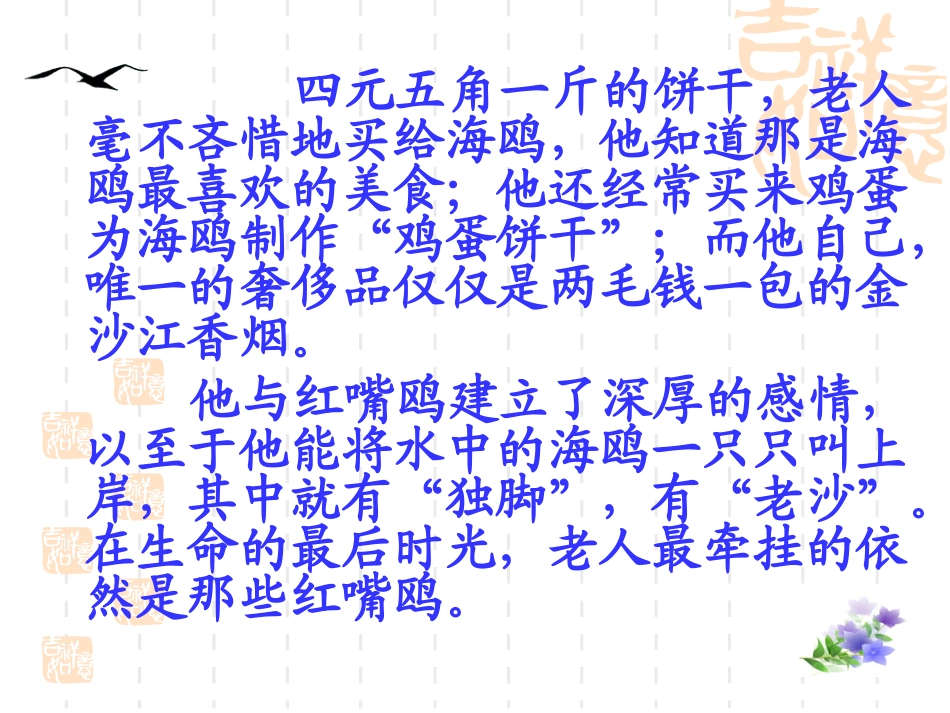 老人与海鸥---课件_第3页