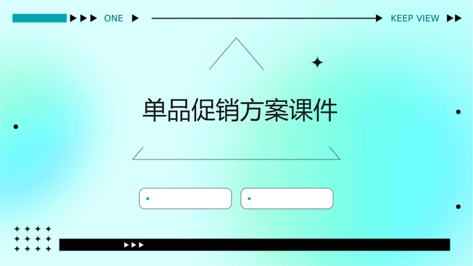 单品促销方案课件_第1页