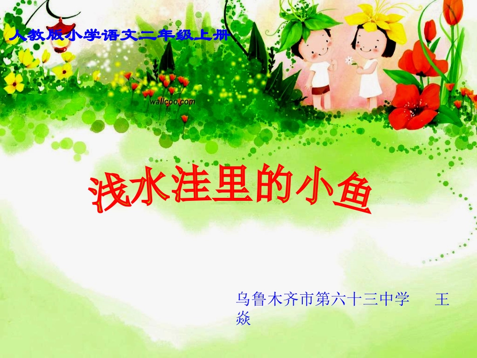 王焱《浅水洼的小鱼》课件_第1页