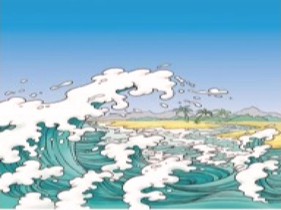 王焱《浅水洼的小鱼》课件_第3页