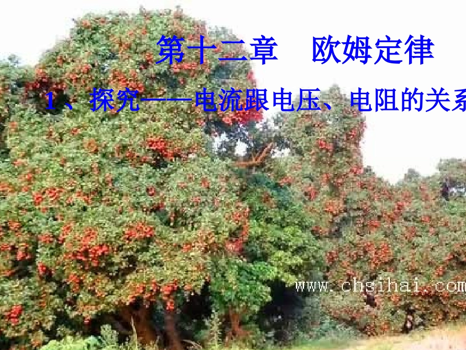 物理：北师大版九年级探究——电流与电压、电阻的关系（课件）_第1页
