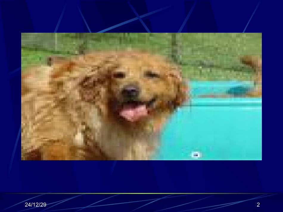 狂犬病-南宁第四人民医院_第2页