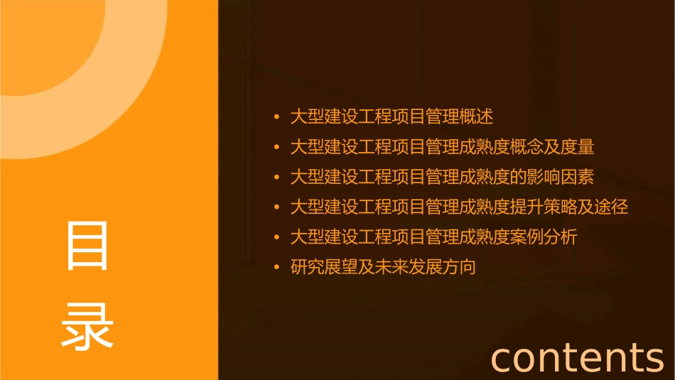 大型建设工程项目管理成熟度机理及课件_第2页
