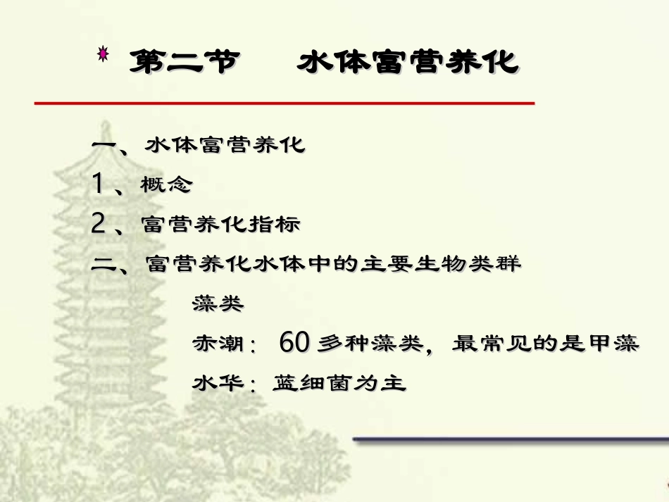 水体富营养化的形成和影响因素_第2页