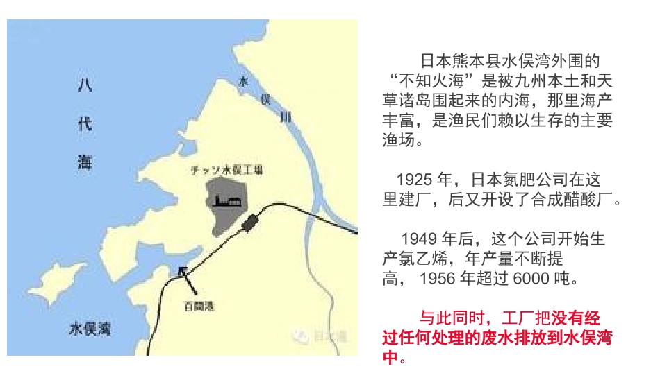 世界八大公害事件之一——水俣病_第3页