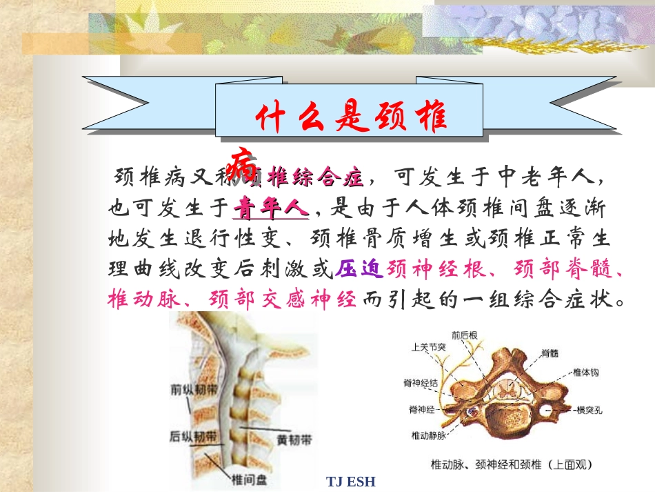公室工作人如何防椎病_第2页