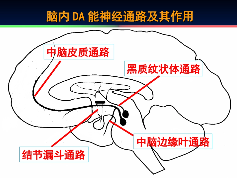 三-左长清-第14章-抗精神失常药_第3页