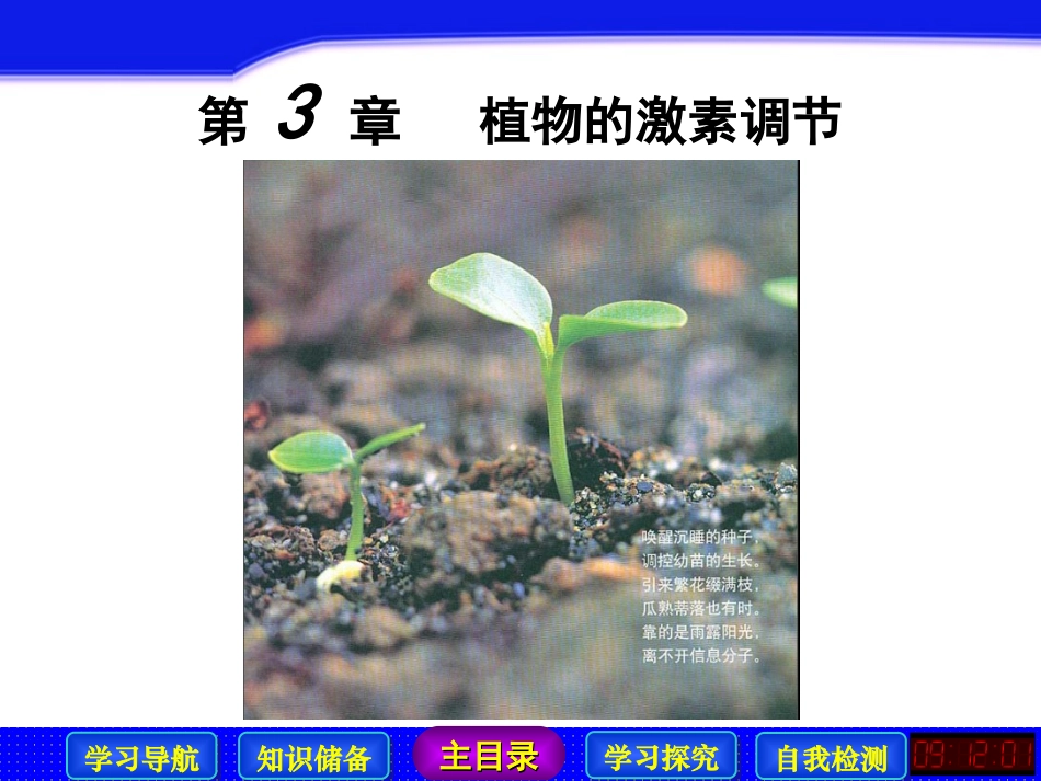 生长素的发现_第1页