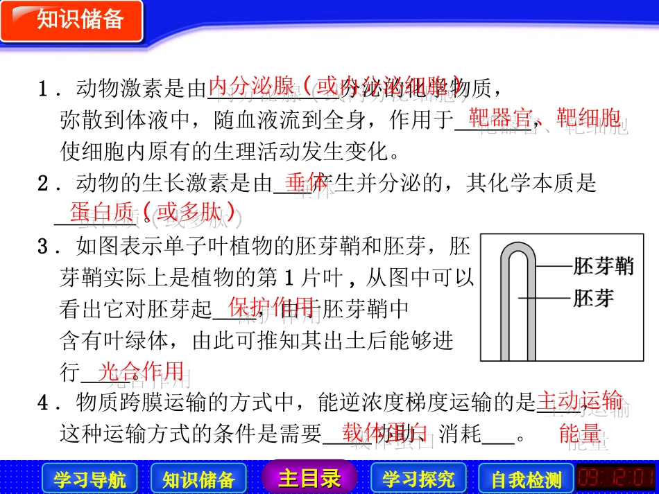 生长素的发现_第3页