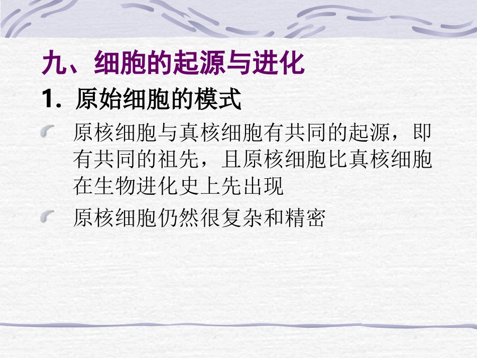 生命起源与演化(通13)全解_第1页