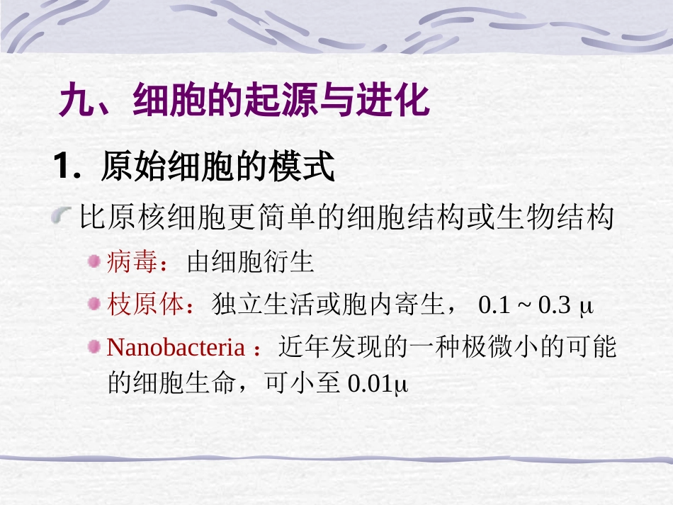 生命起源与演化(通13)全解_第2页