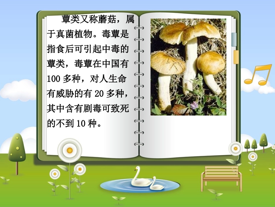 毒蕈中毒PPT_第1页