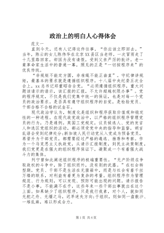 政治上的明白人心得体会 
