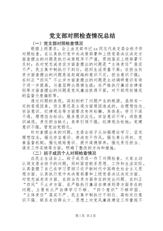 党支部对照检查情况总结