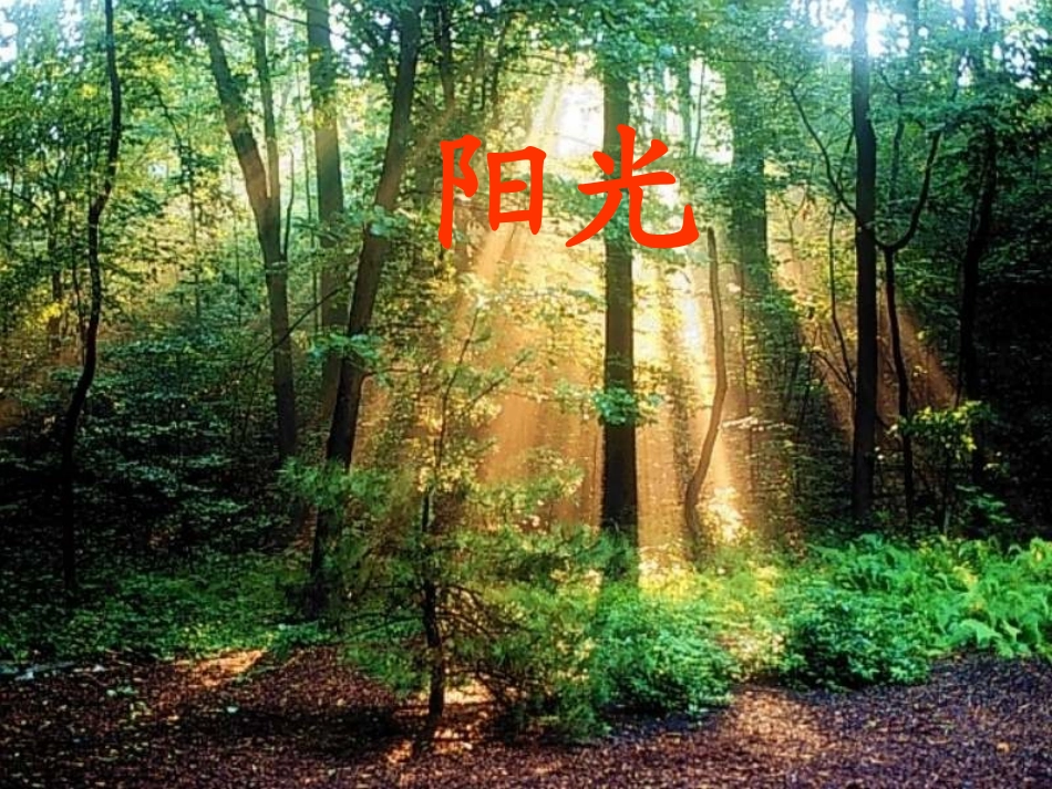 《阳光》(1)_第1页