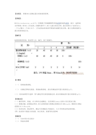 BCA法测蛋白浓度