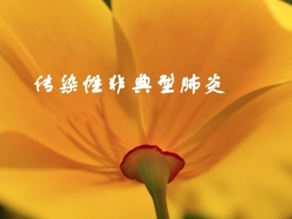 基于传染性非典型肺炎简介