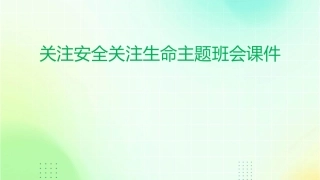 关注安全关注生命主题班会课件