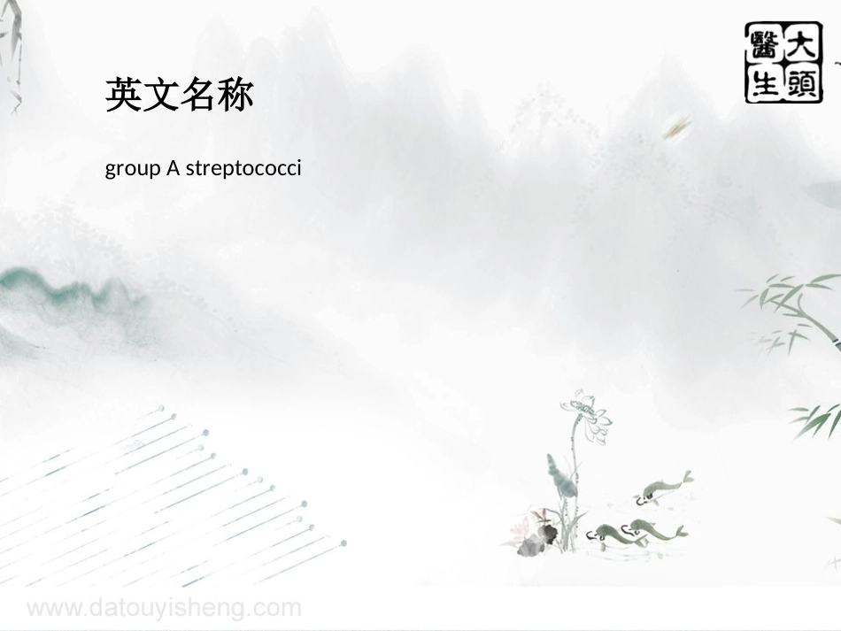 A链球菌群感染_第2页