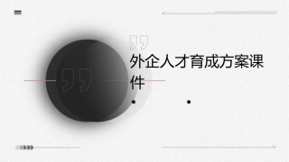 外企人才育成方案课件