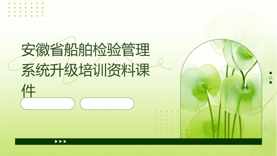 安徽省船舶检验管理系统升级培训资料课件_第1页