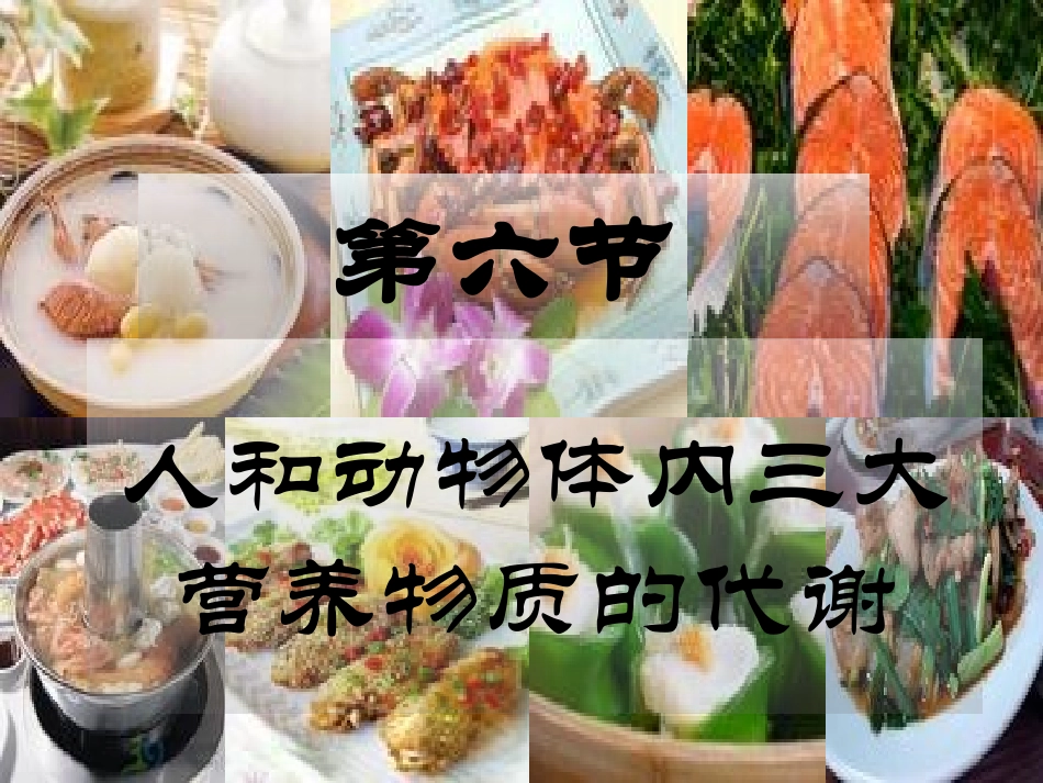 人和动物三大营养物质的代谢_第1页