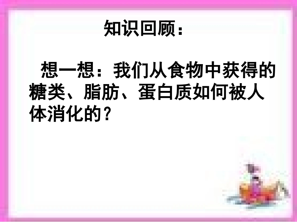 人和动物三大营养物质的代谢_第3页