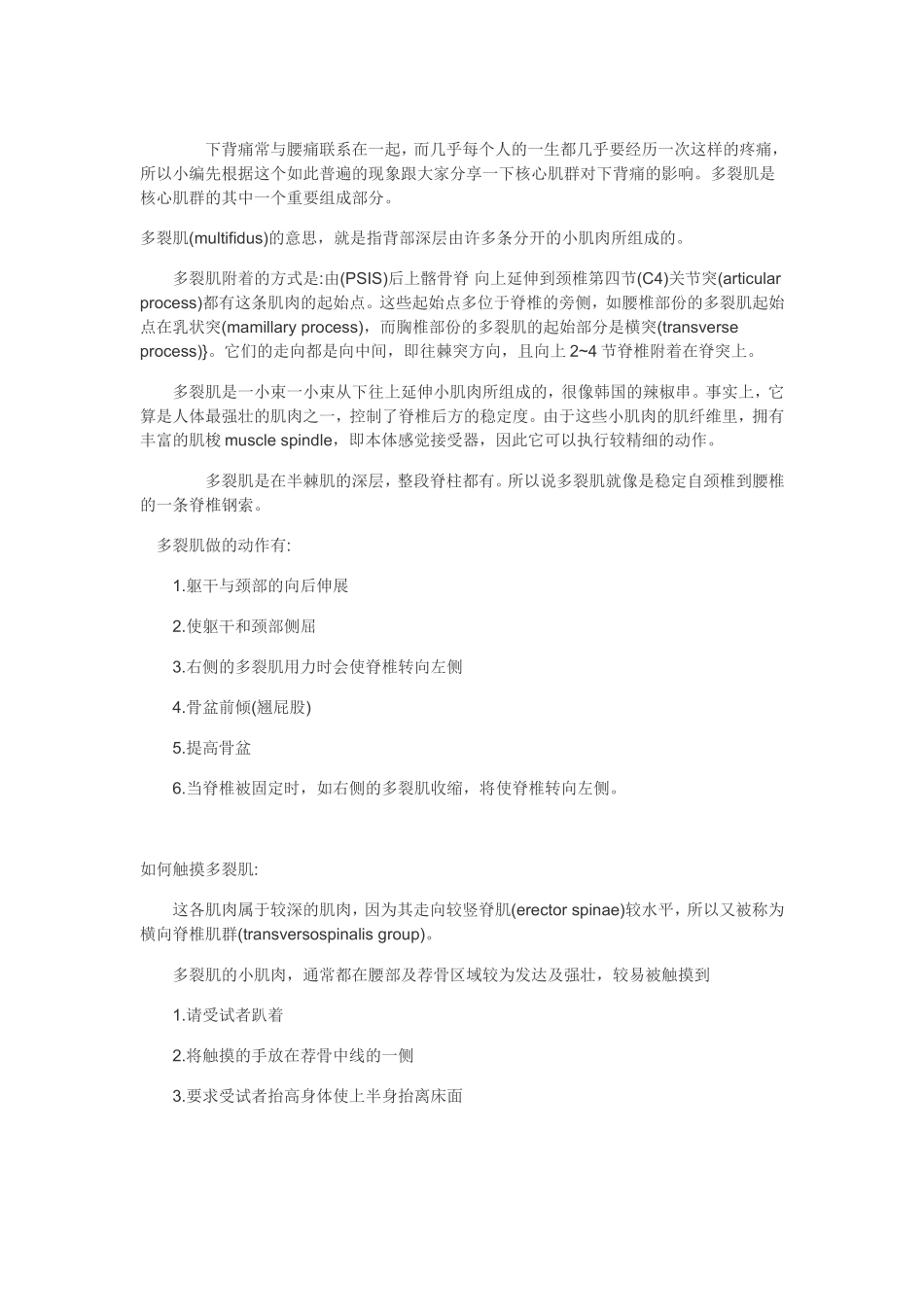 多裂肌与下背痛_第1页