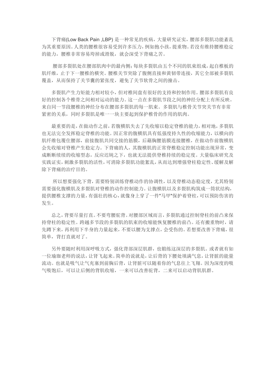 多裂肌与下背痛_第2页