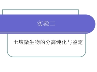土壤细菌的分离及纯化