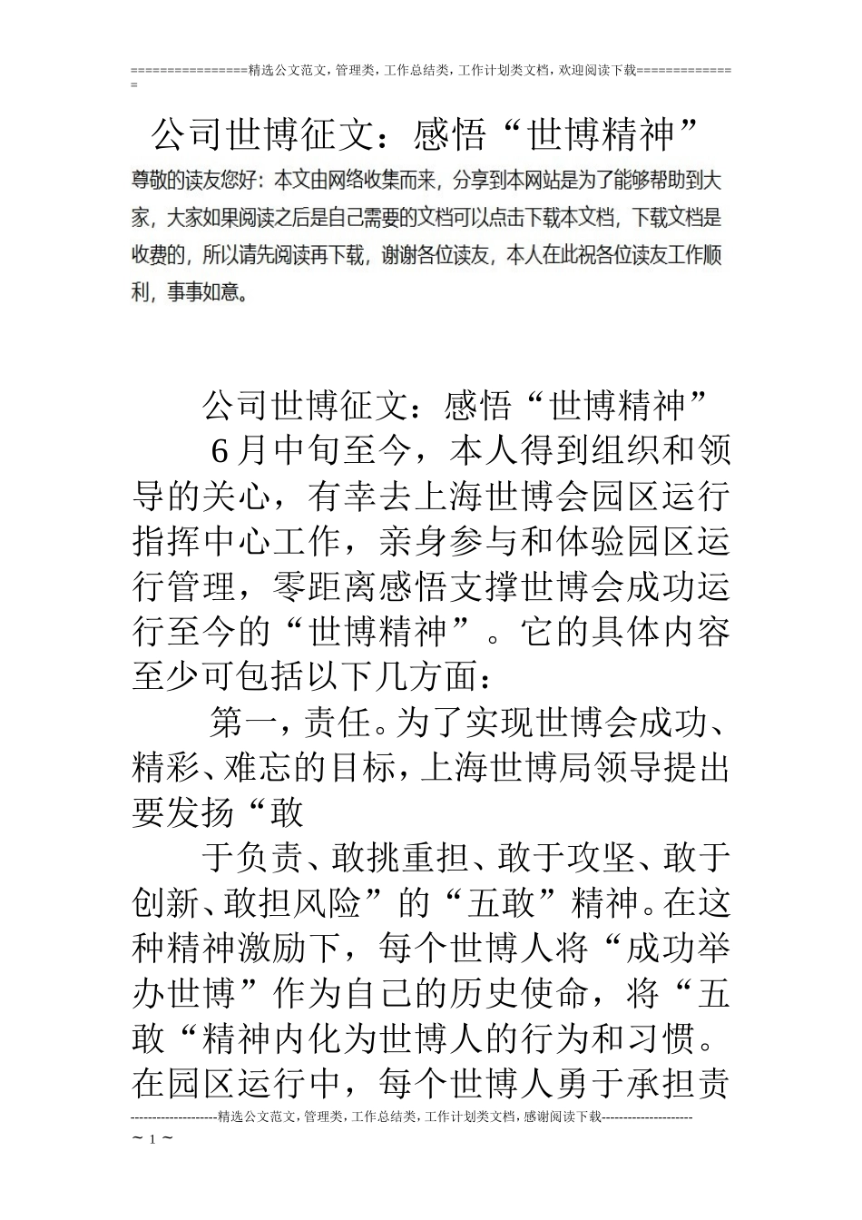 公司世博征文：感悟“世博精神”_第1页