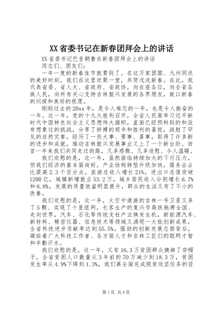 XX省委书记在新春团拜会上的讲话