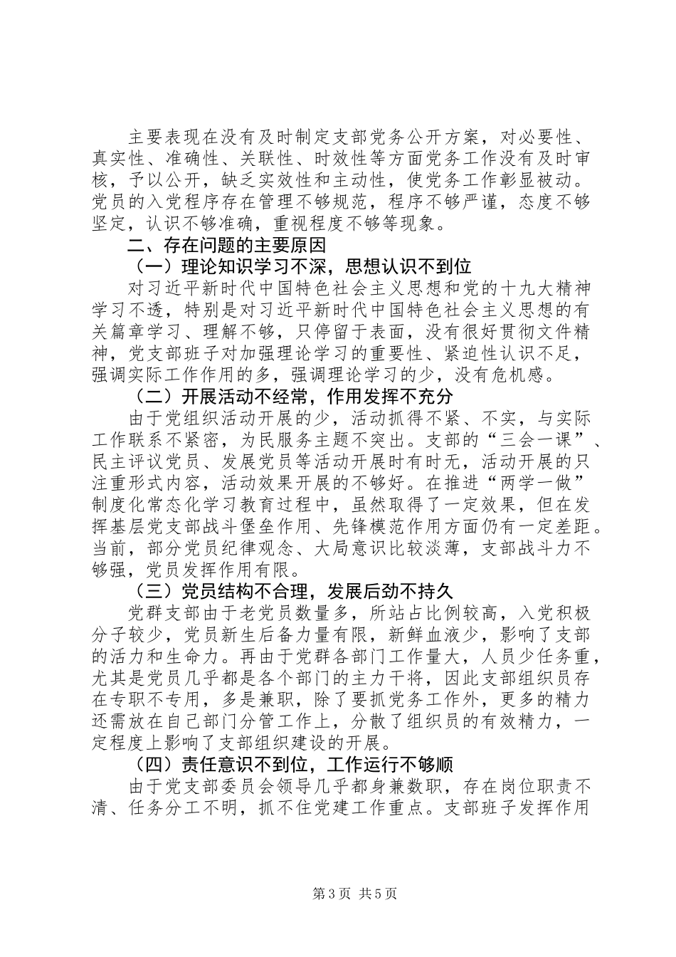 党支部剖析材料及整改措施_第3页