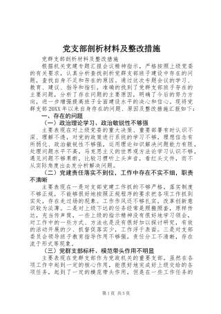 党支部剖析材料及整改措施