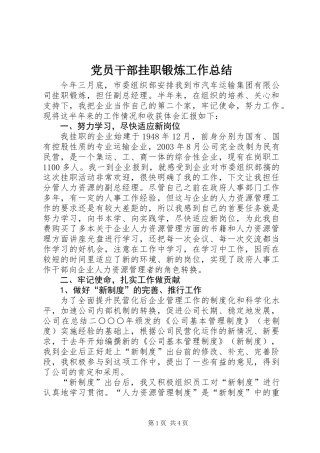 党员干部挂职锻炼工作总结